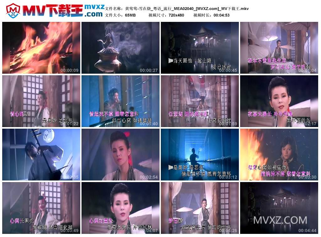 黄莺莺-雪在烧_粤语_流行_MEA02040